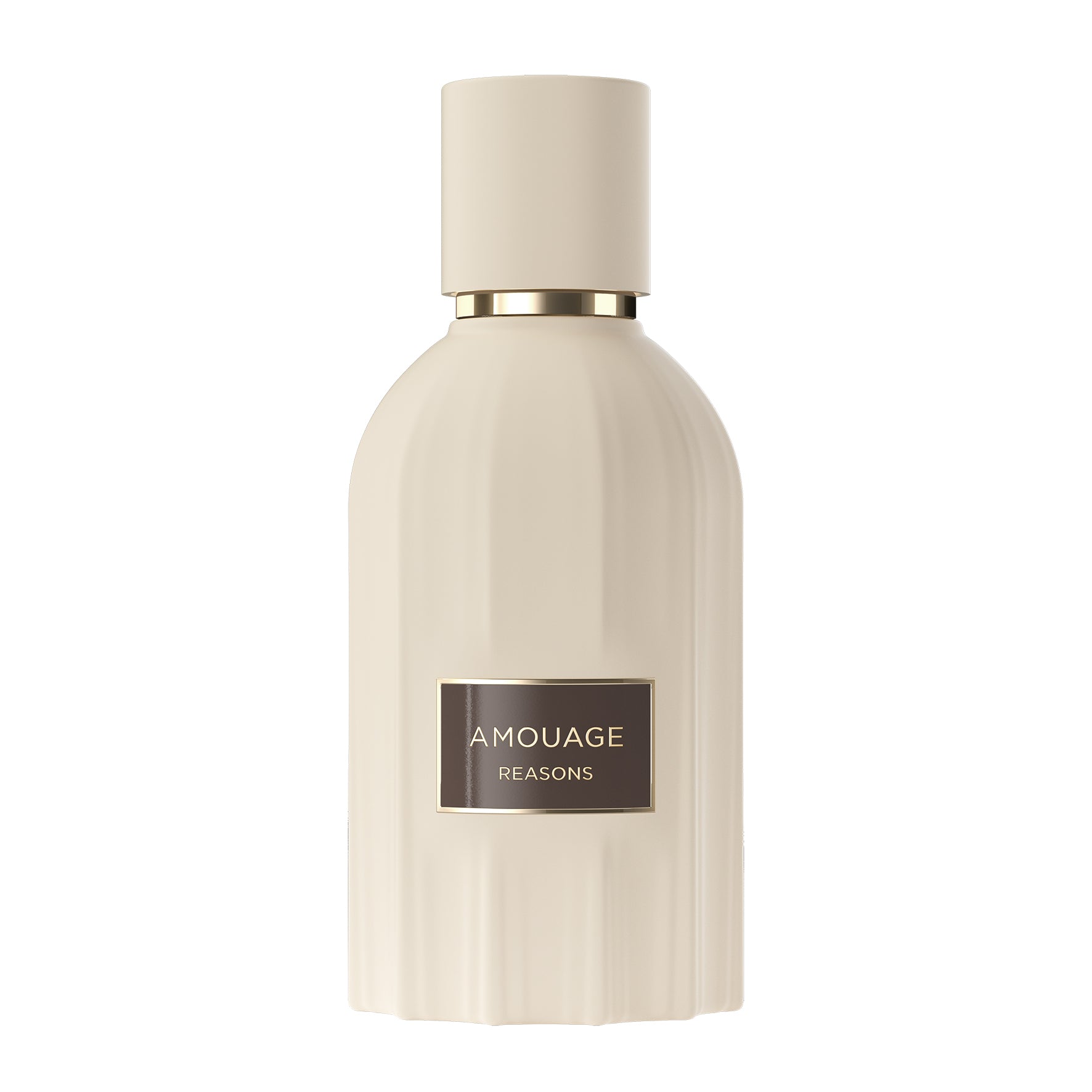 AMOUAGE REASONS Extract de parfum 100ML