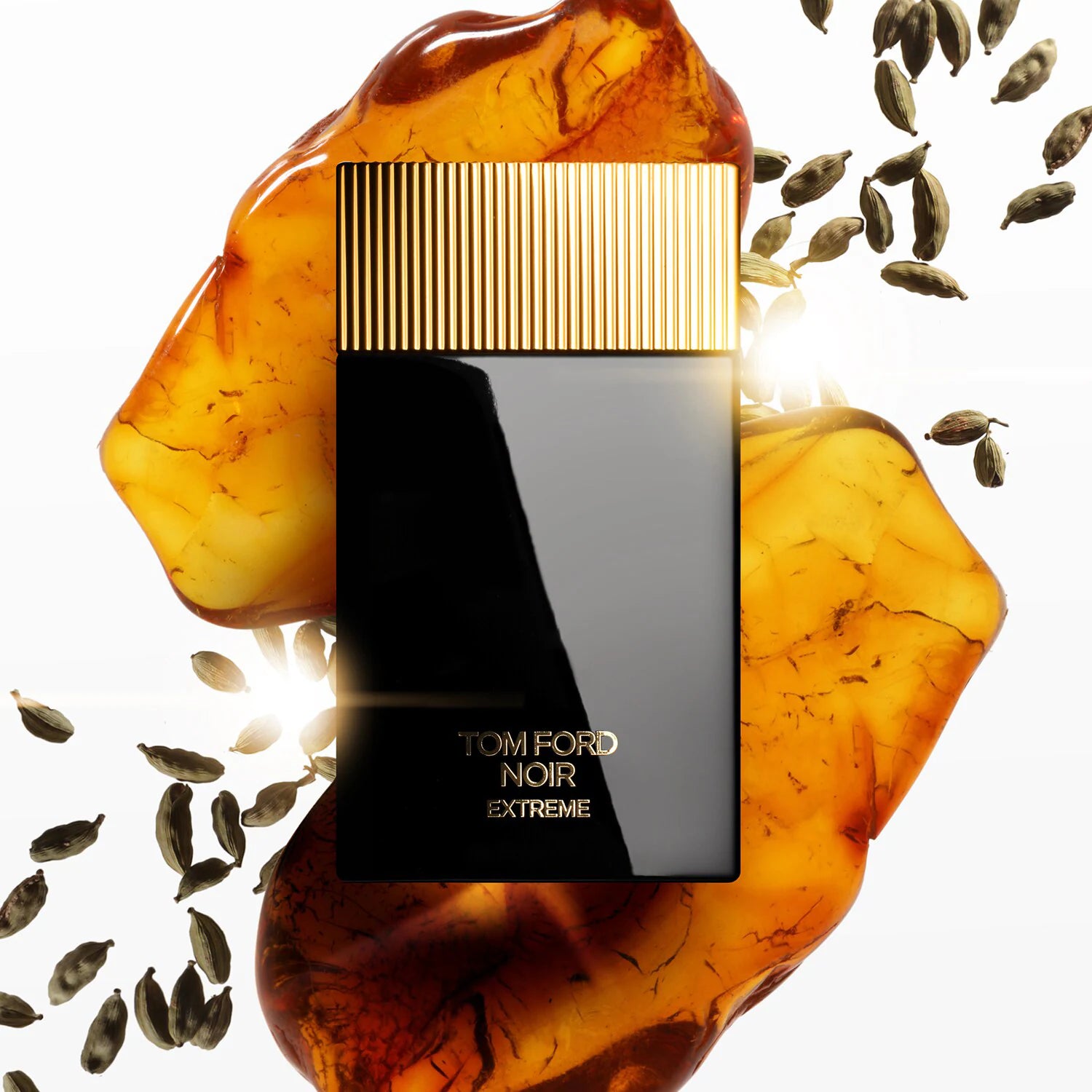 Tom Ford Noir Extreme - Eau de parfum 100ML