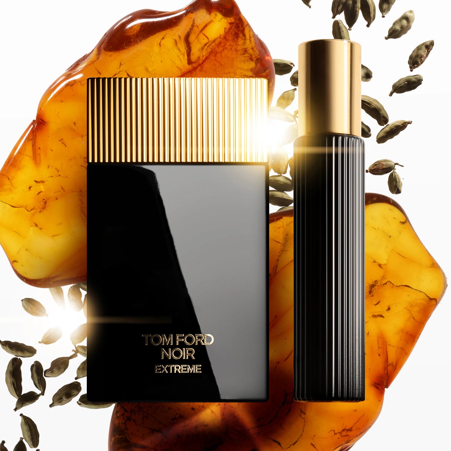 Tom Ford Noir Extreme - Eau de parfum 100ML