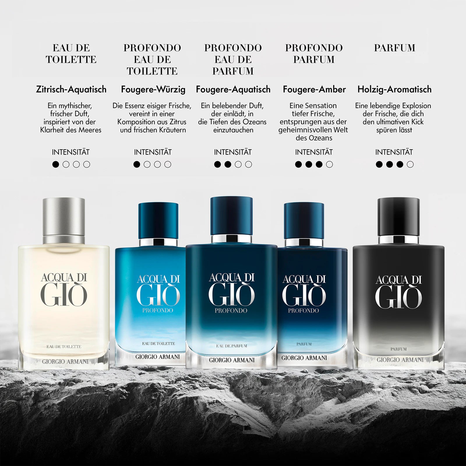 Armani Acqua di Giò Profondo Eau de Parfum  100ML