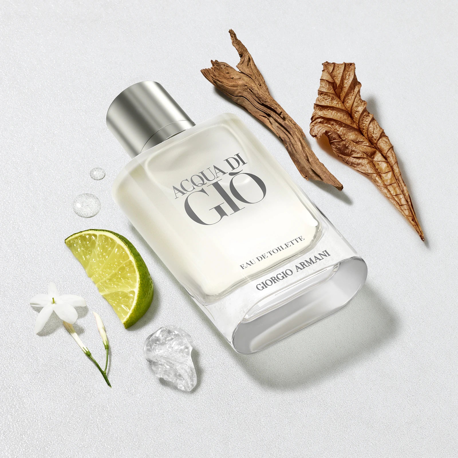 Armani Acqua di Giò Eau de Toilette 100ML