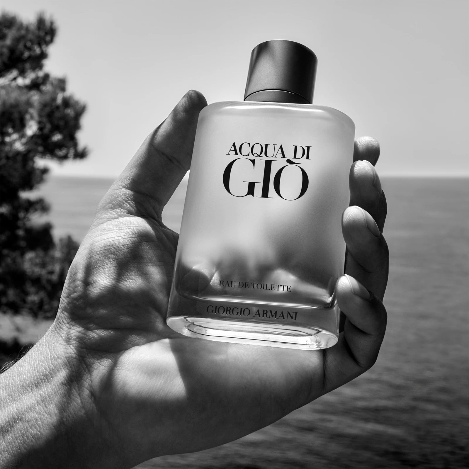 Armani Acqua di Giò Eau de Toilette 100ML