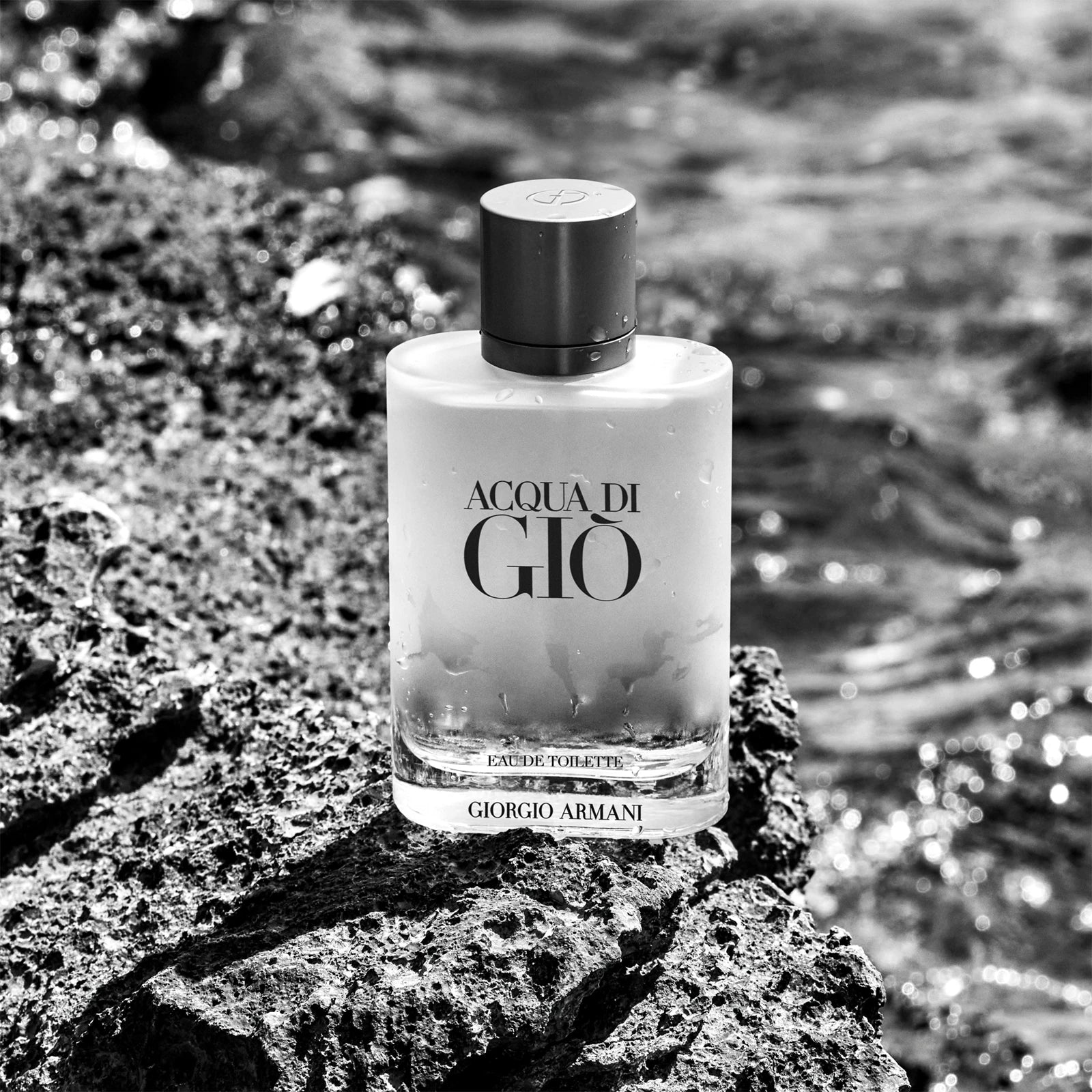 Armani Acqua di Giò Eau de Toilette 100ML