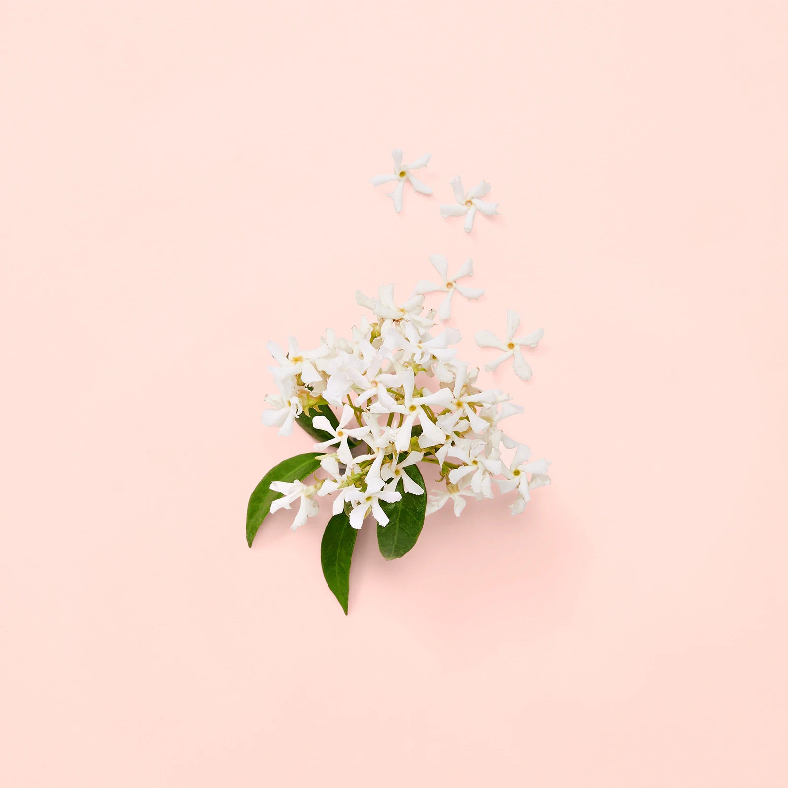 Gucci Bloom Eau de Parfum 100ML