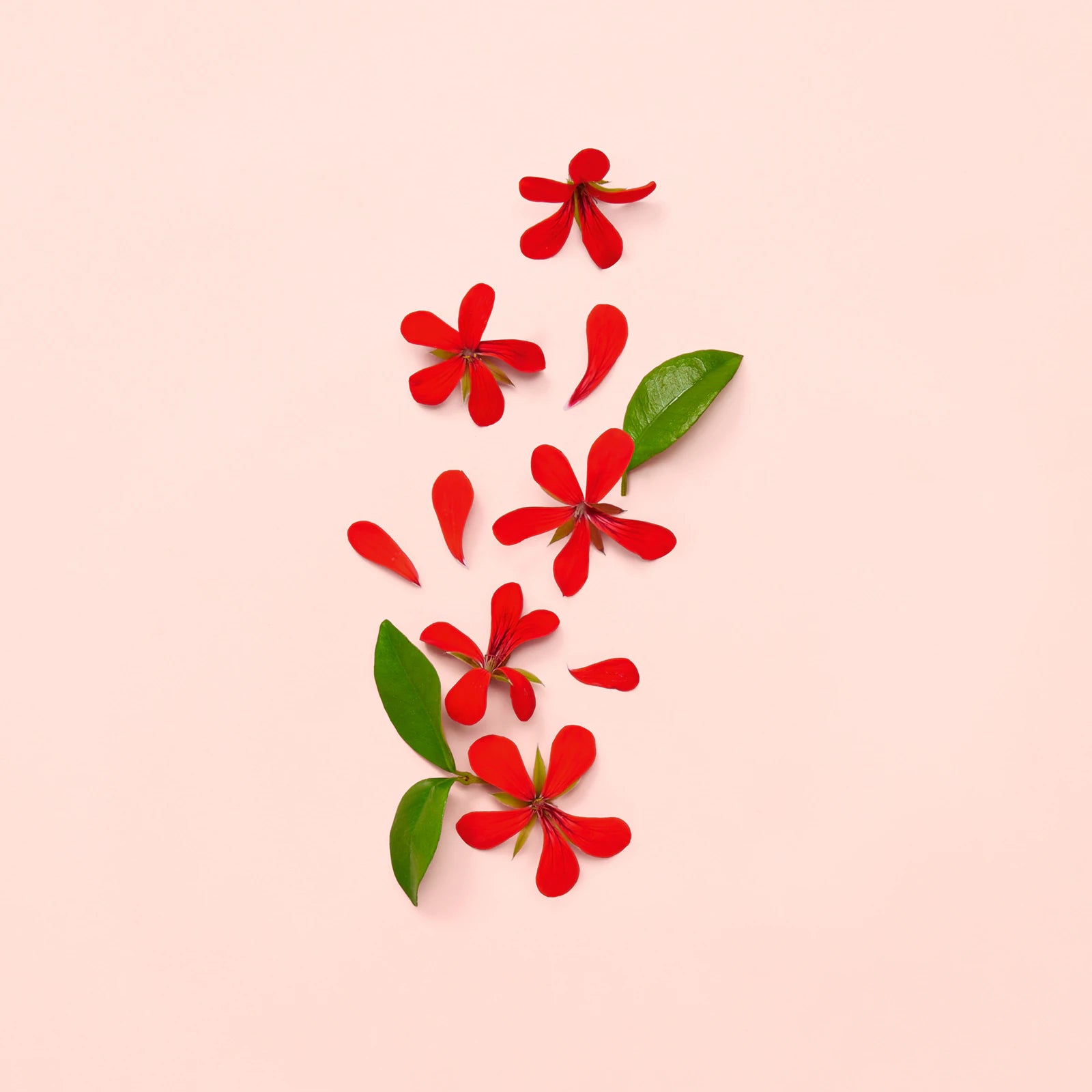 Gucci Bloom Eau de Parfum 100ML