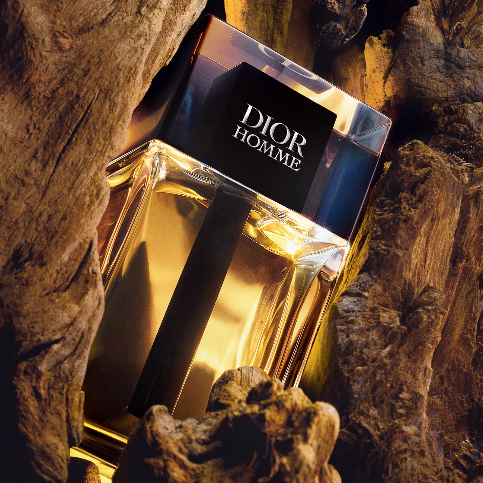 DIOR Dior Homme Eau de Toilette 100ML