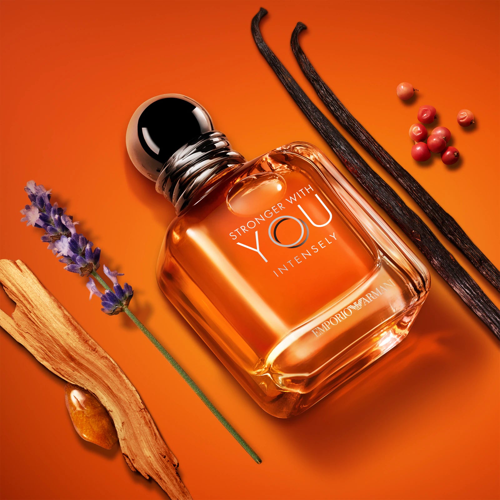 Armani Emporio Stronger With You Intensely Eau de Parfum 100ML