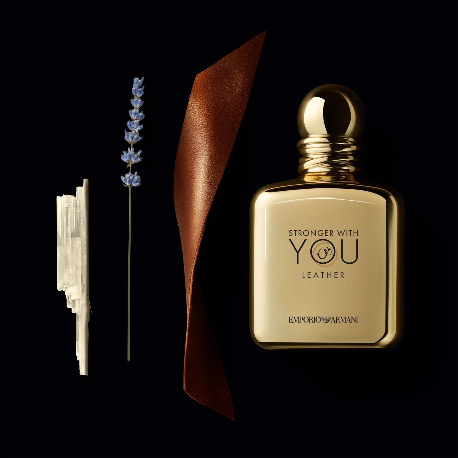 Armani Emporio Stronger With You Leather Eau de Parfum  100ML