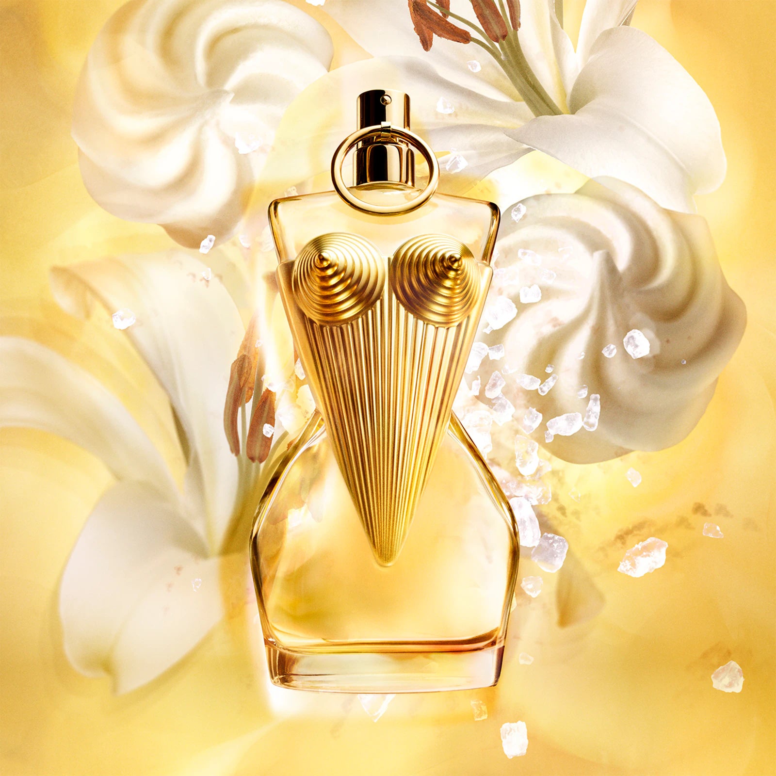 Jean Paul Gaultier Gaultier Divine Eau de Parfum 100ML