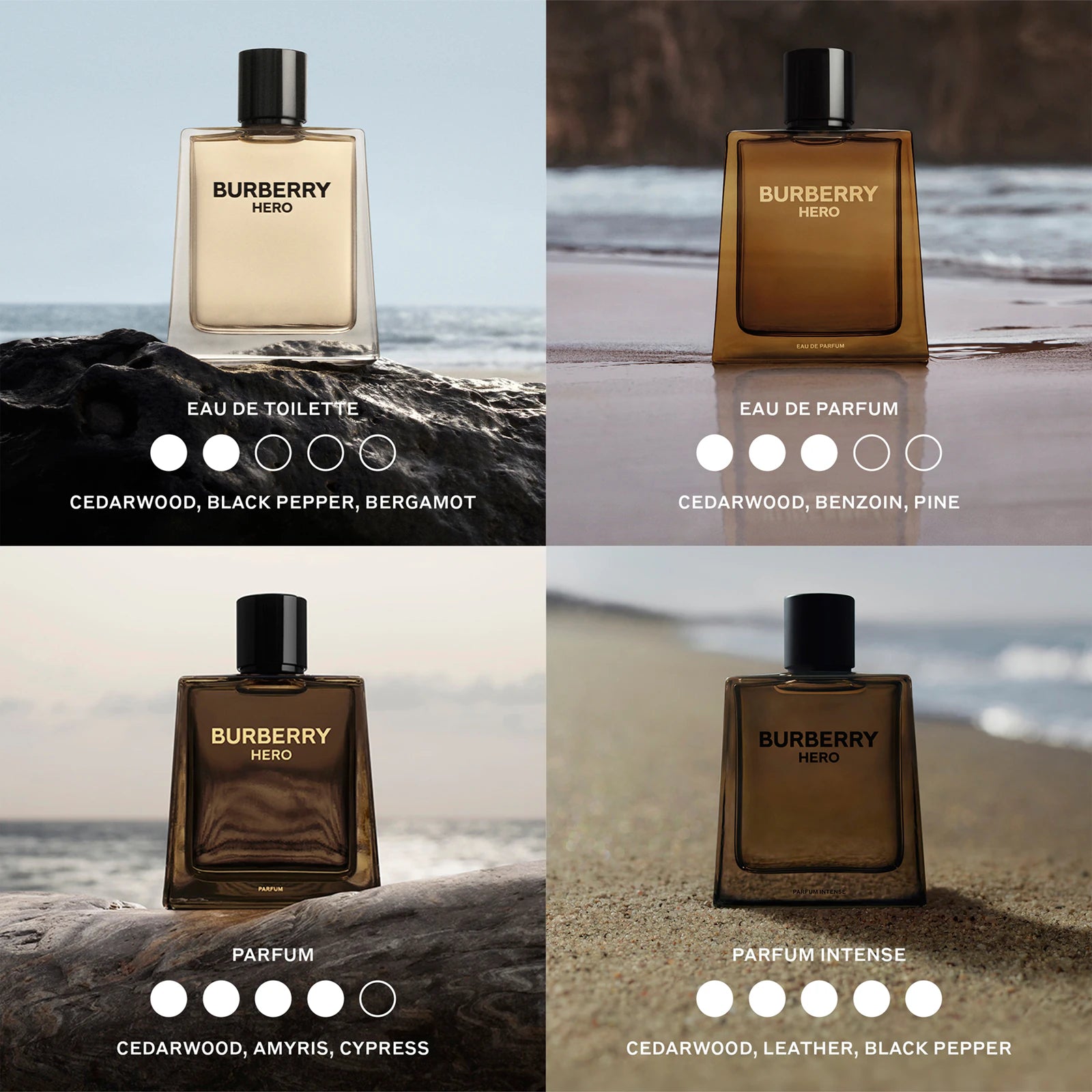 Burberry Hero Eau de Toilette 100ML
