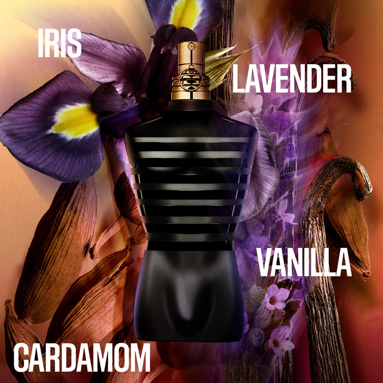 Jean Paul Gaultier Le Male Le Parfum Eau de Parfum 75ML