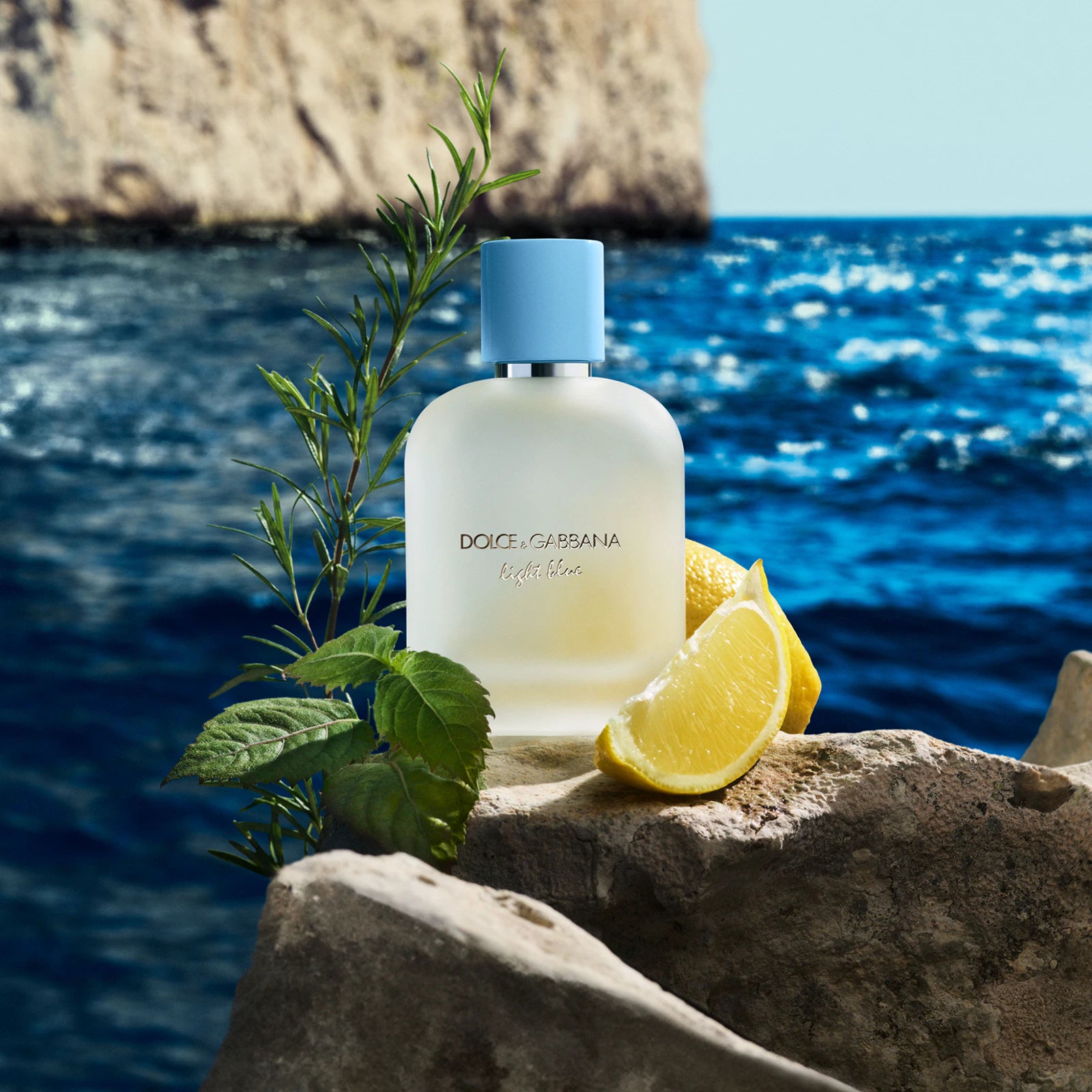 Dolce&Gabbana Light Blue Pour Homme Eau de Toilette 100ML