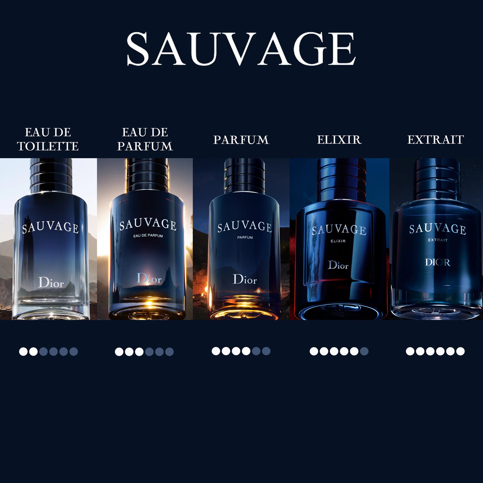 DIOR Sauvage Eau de Toilette  100ML