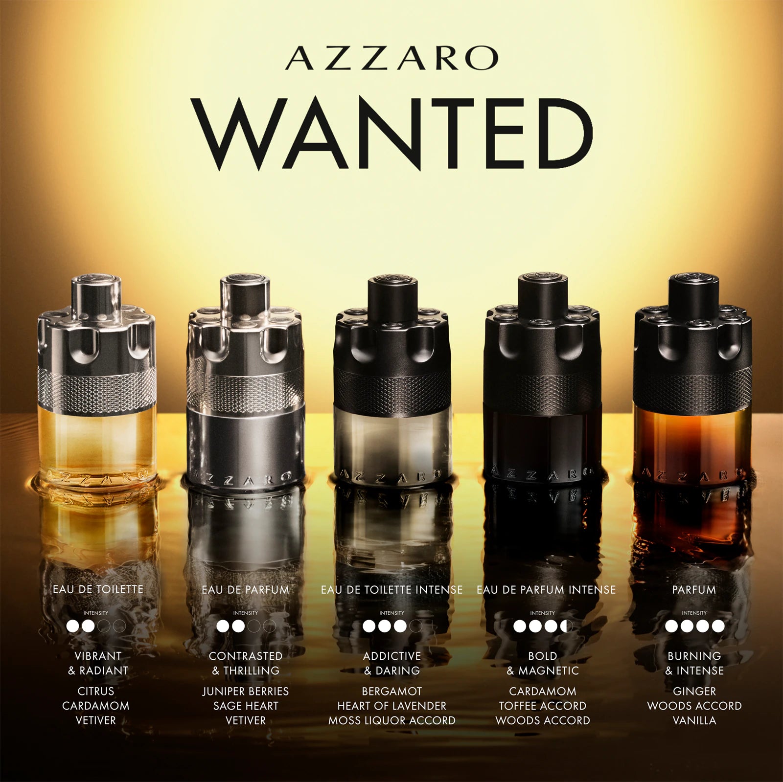 Azzaro Wanted Eau de Toilette 100ML